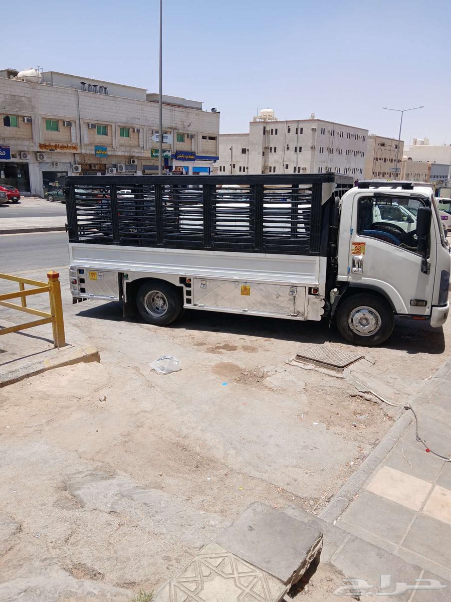 نقل عفش مع فك تركيب64177382395267110