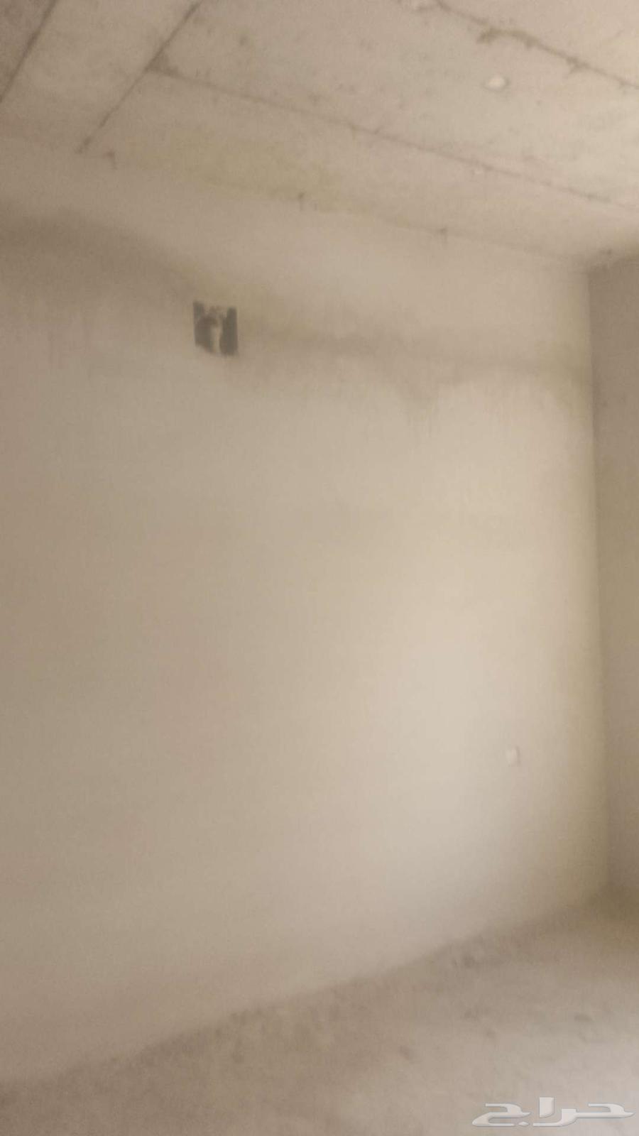 Malis Delivery Engineer64582405801859110