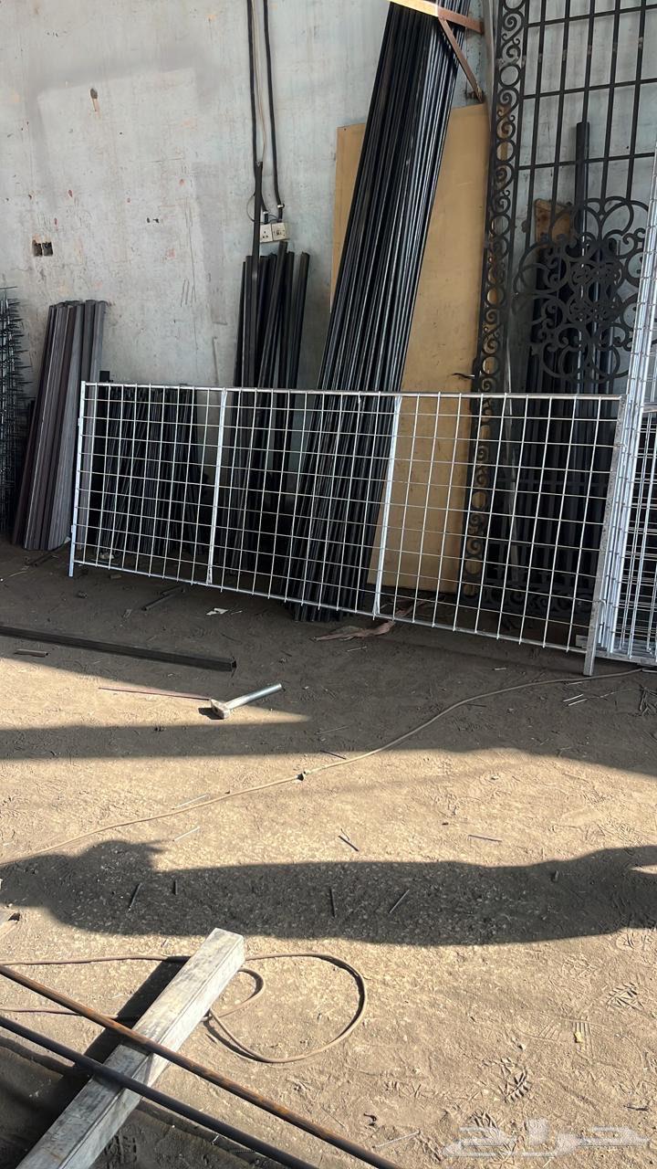 شبوك ابل جديده64565158499458114