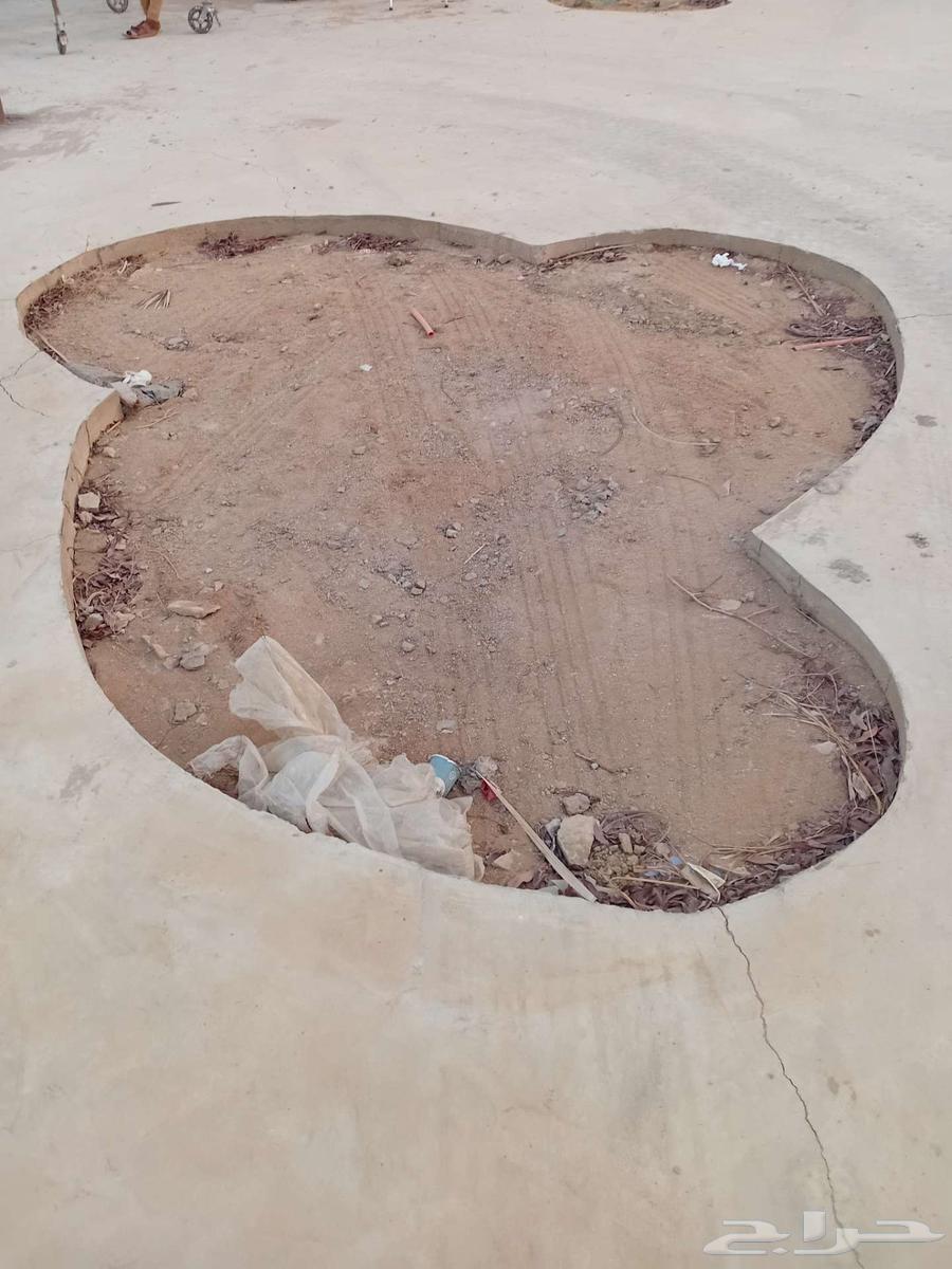 مقاول معماري64184967116931113