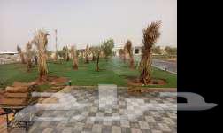 Qassim Landscape Design64186174623746112