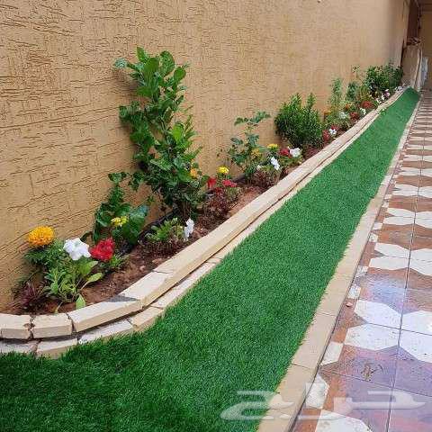 Qassim Landscape Design64186174623746111