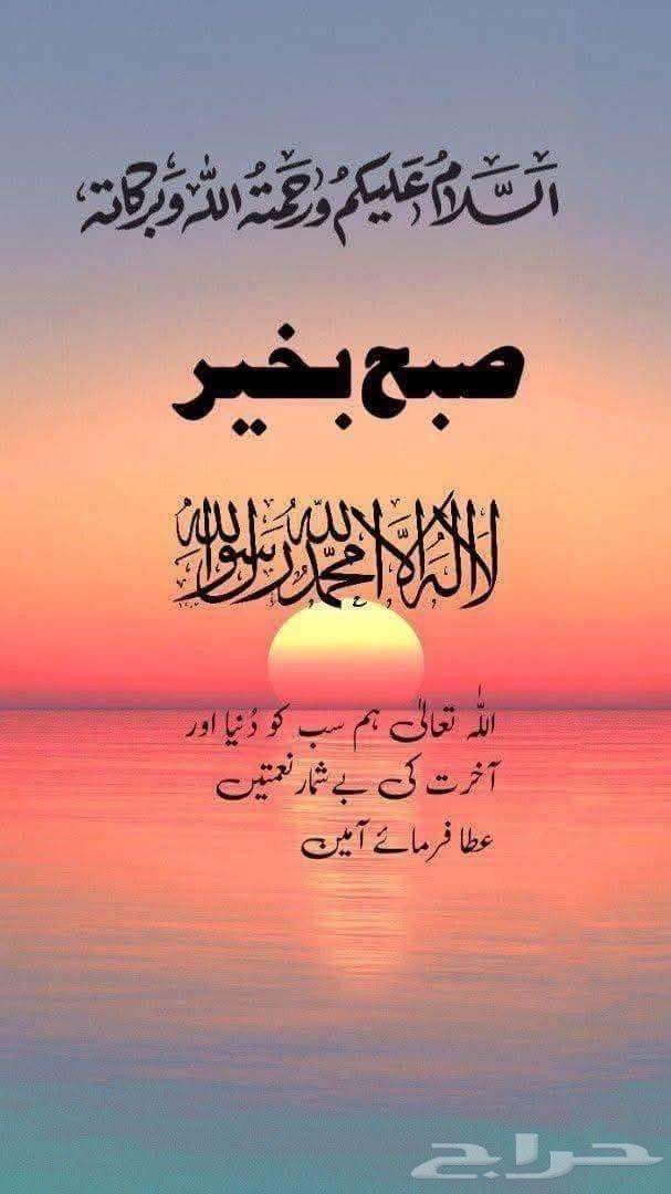 شقة مطلوبة بالقرب من مركز عضو الحياة الطبي، أدوا، الرياض64156028316675110