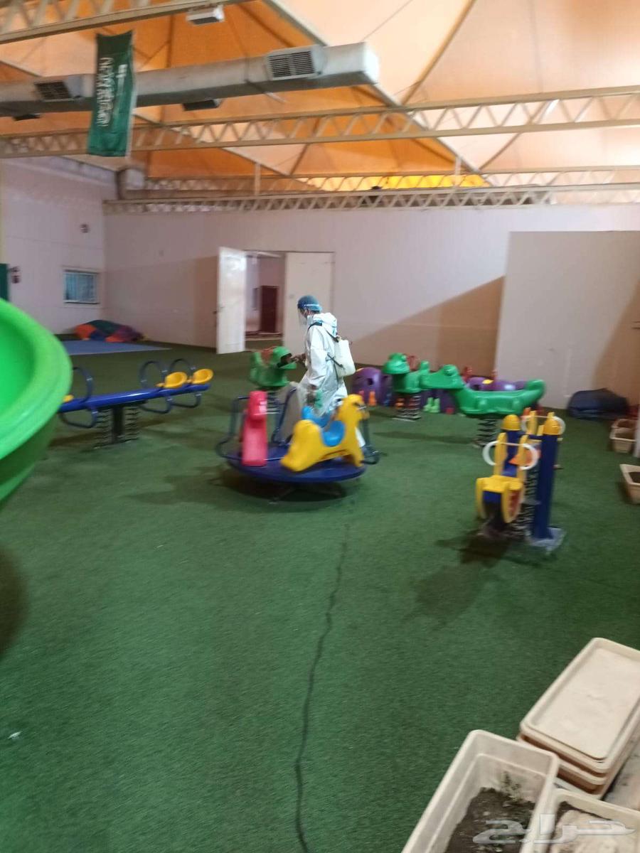 رش مبيدات حشرات عق-د الصراصير البق64197382843011114