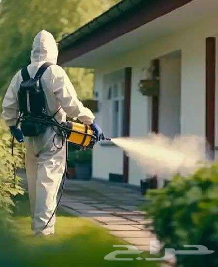 رش حشرات بجدة الصراصير البق النمل64192125954177111