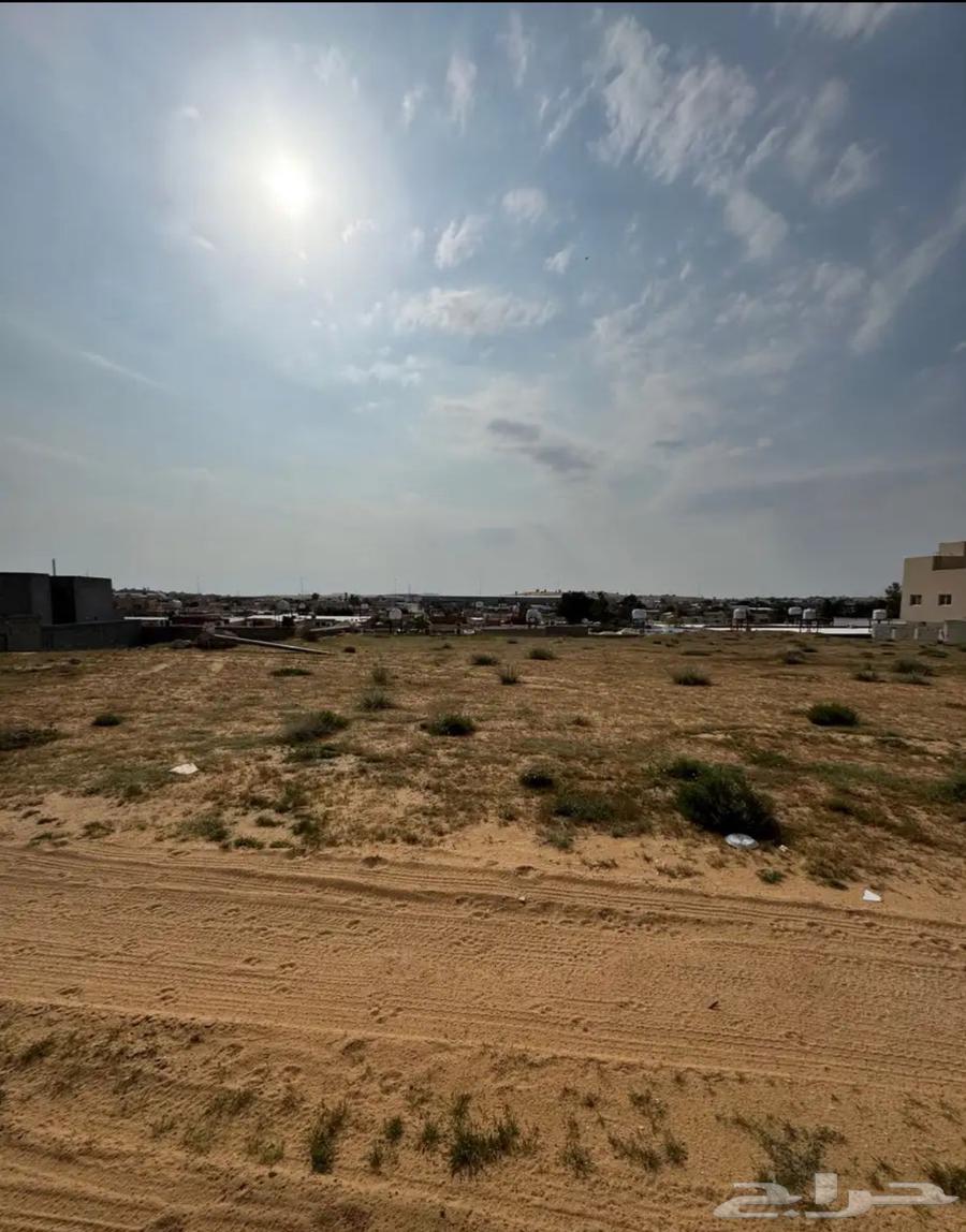 ارض للبيع