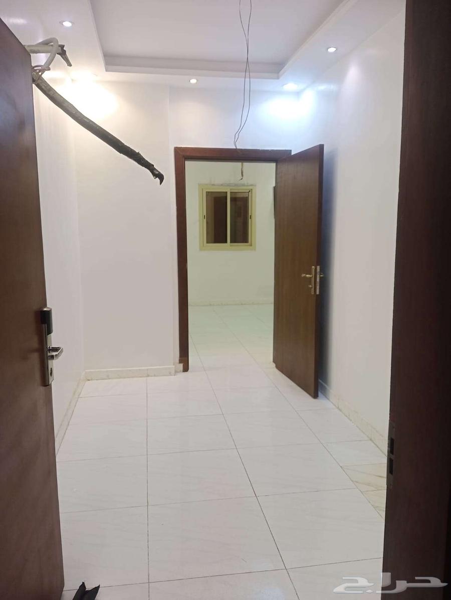 شقة للإيجار