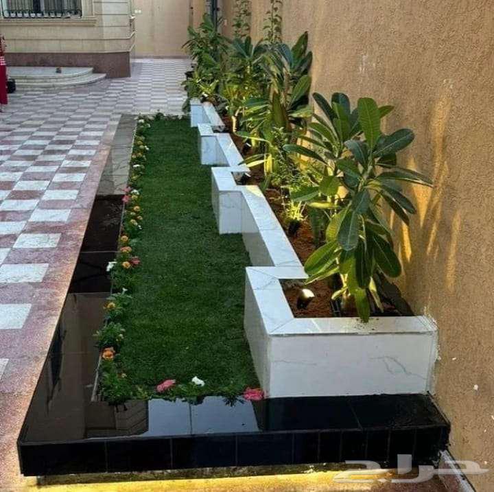زراعة نجيلة عشب ثيل طبيعي أشجار ورود و نخيل64203126068610113