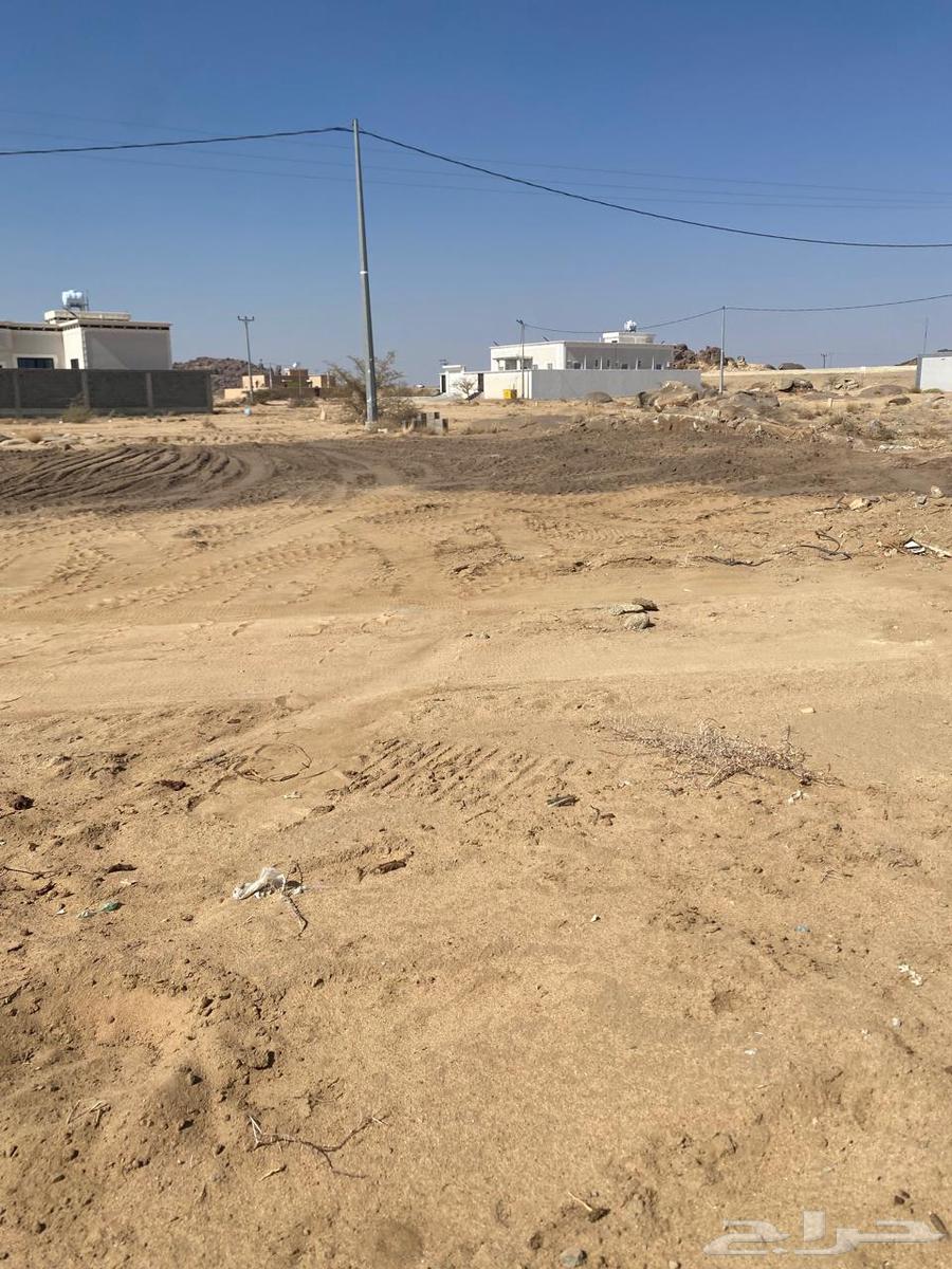 أرض سكنية للبيع بمنطقة عسير مركز وادي بن هشبل حي حفينان64149645405570113