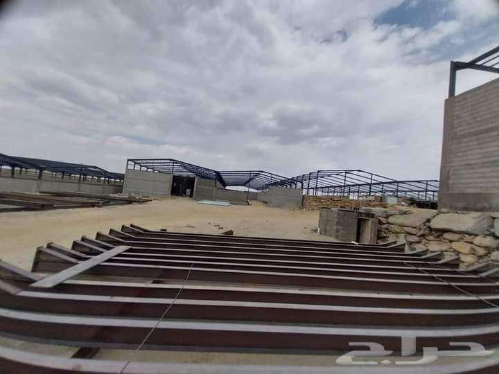 حداد هناقر هناجر مستودعات هناجر سندويش بنل شينكو عادي64195247913473114