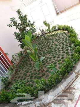 Jeddah and Makkah landscape design64198225860099111