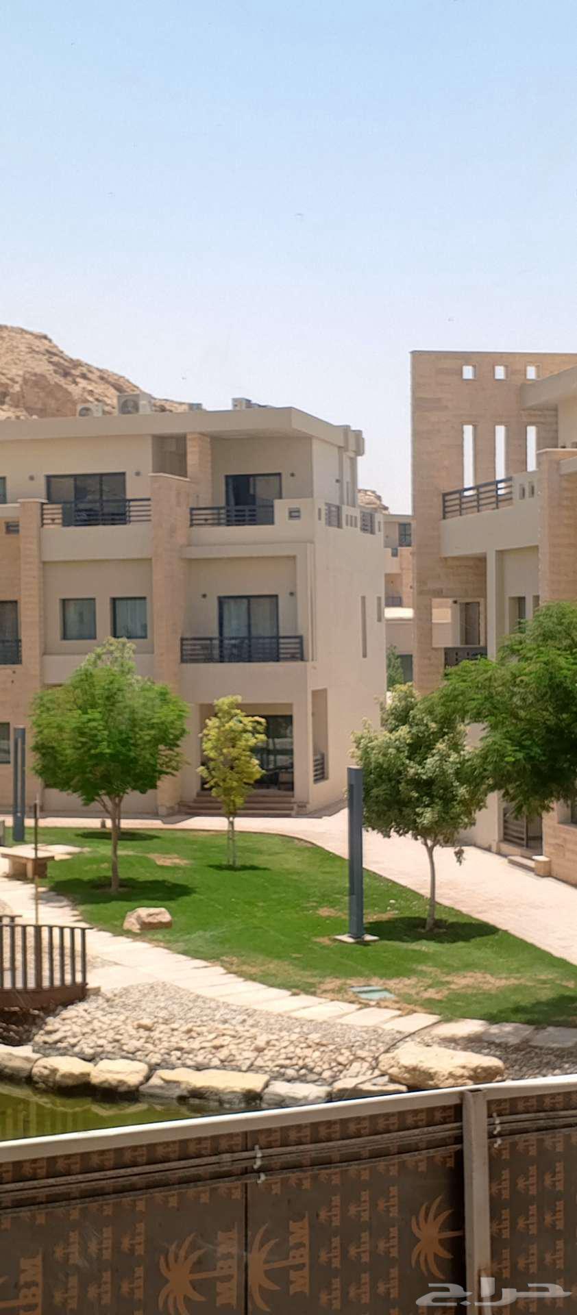 مقاول الحجررياض و رلروخام64199341800323114