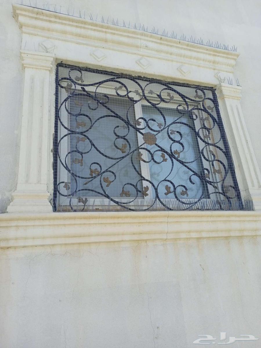 تركيب طارد الحمام64260122517634111