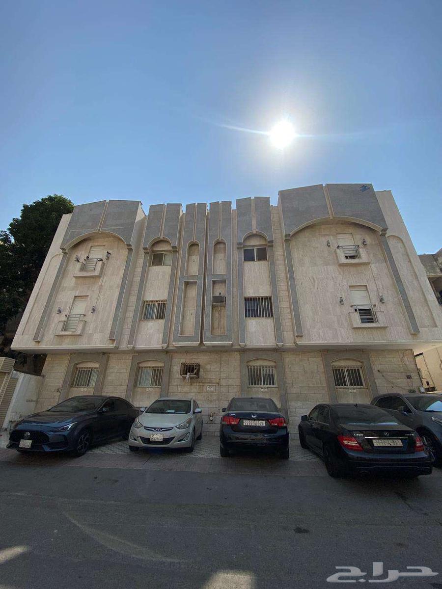 شقة للإيجار