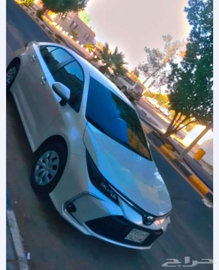 Delivery of errands, store representatives, and employee transportation. Sudanese64203856988801110