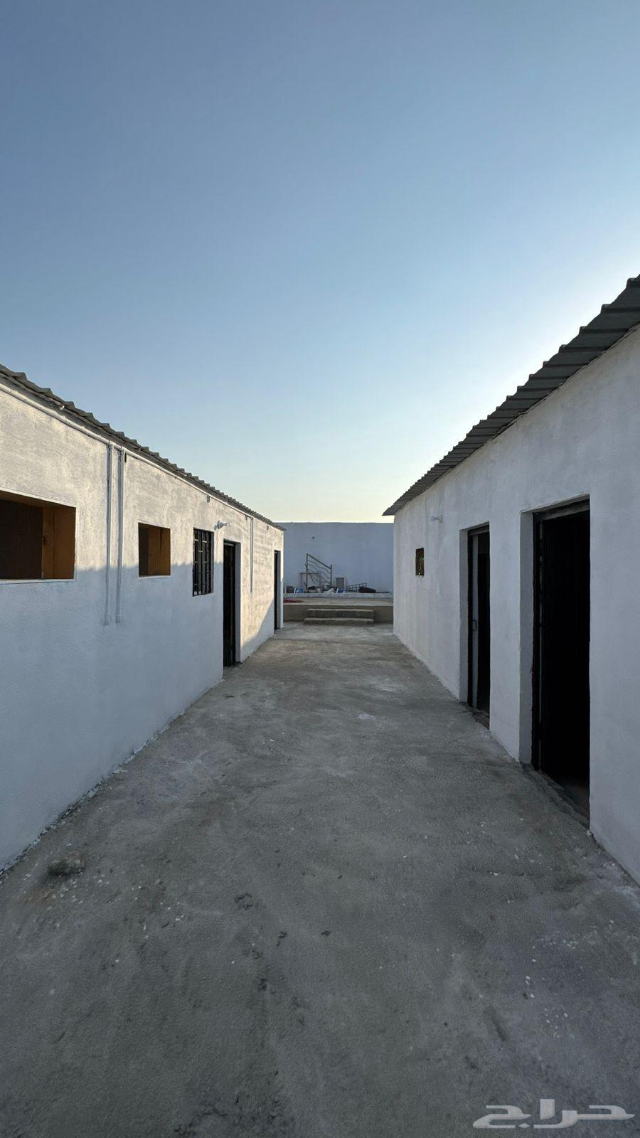 شقة للإيجار