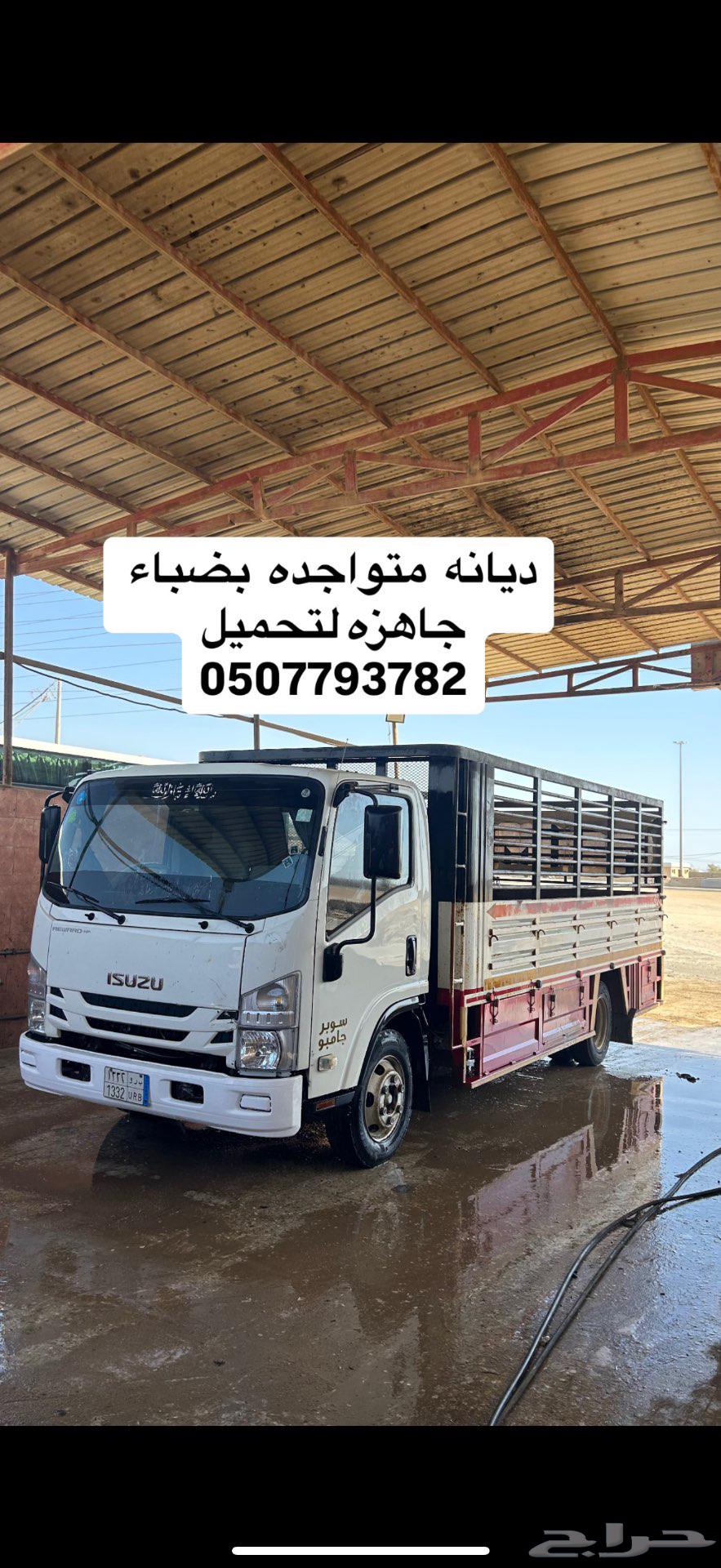 ديانه للمشوير64206208134659110