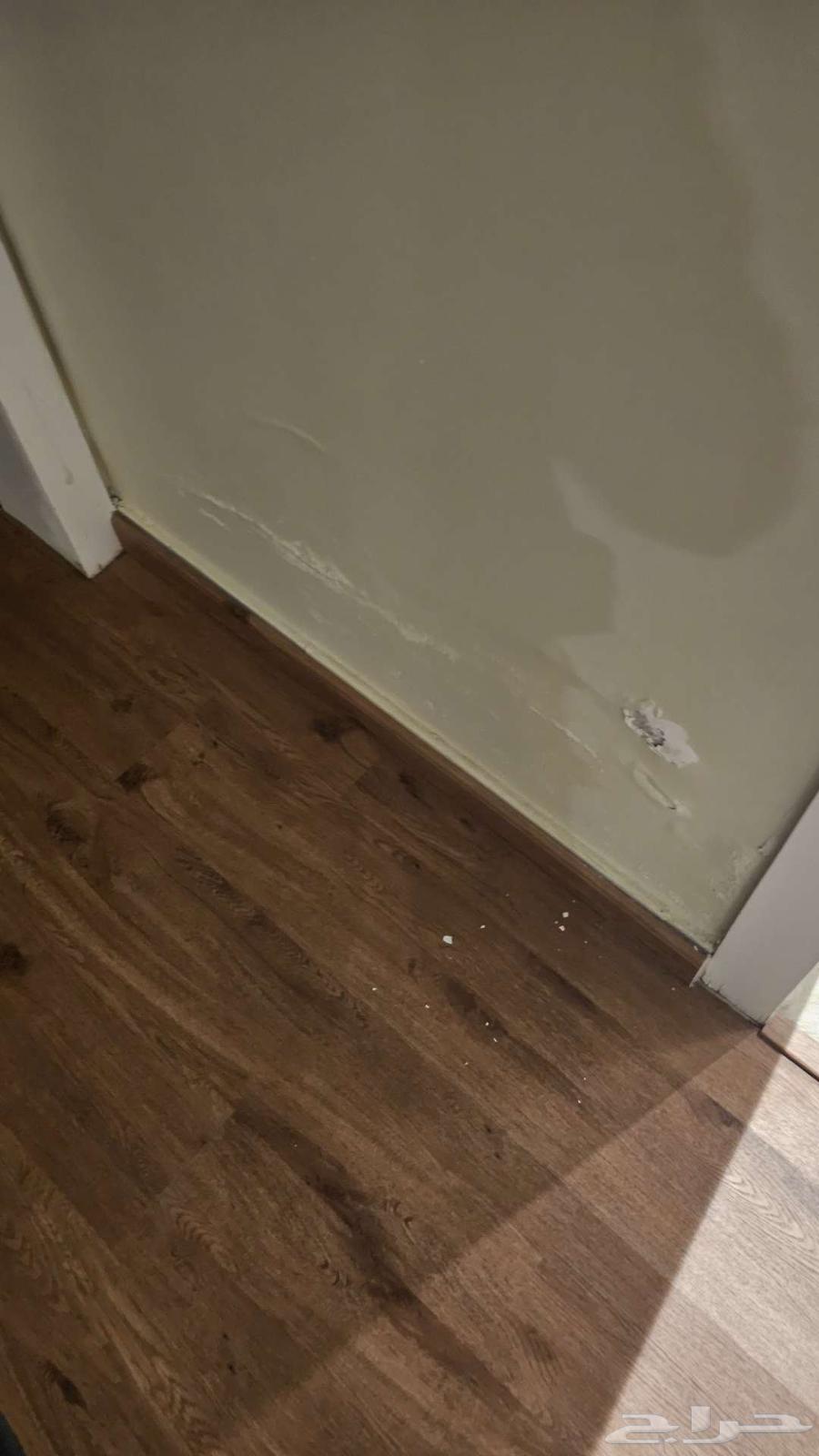 Roof Insulation Company in Riyadh, Water Leakage Detection in Riyadh, Waterproofing64206846674690111