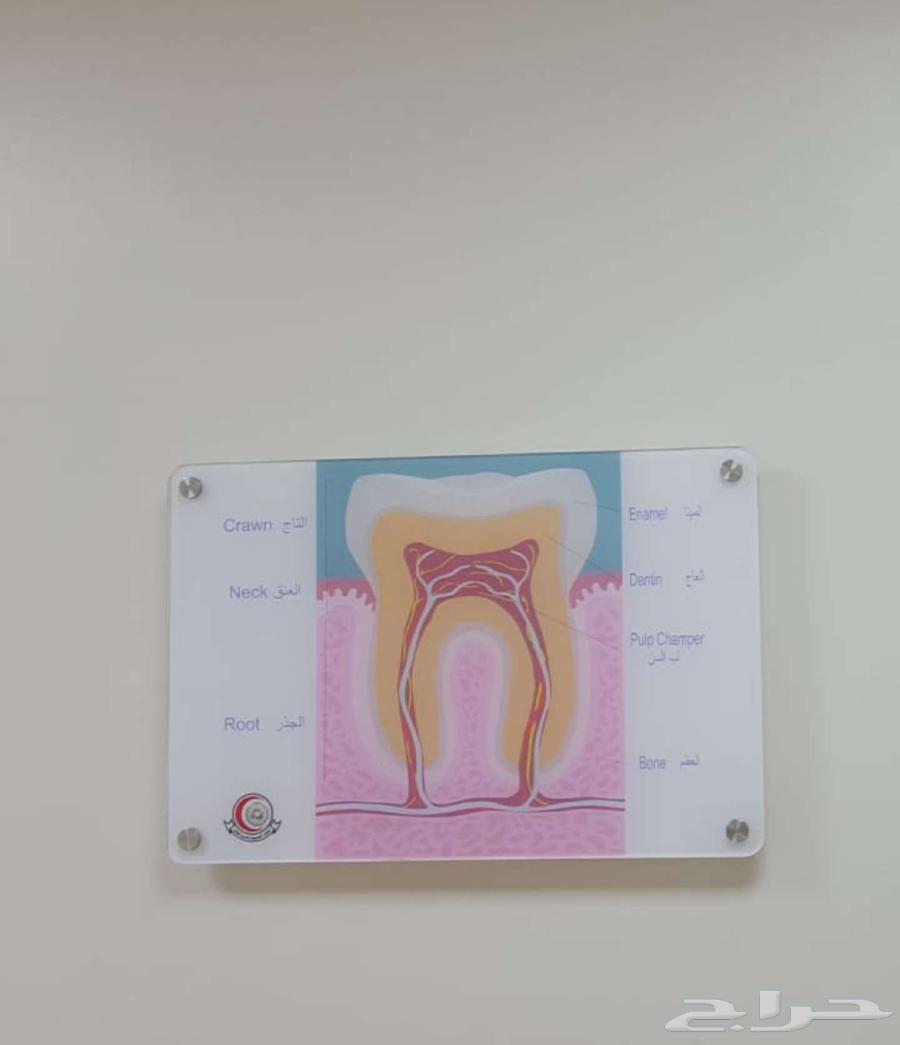 Signs for offices, companies, factories, clinics, and hospitals64208806477313110