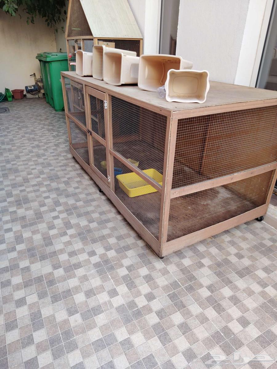 شبوك64211393394049111