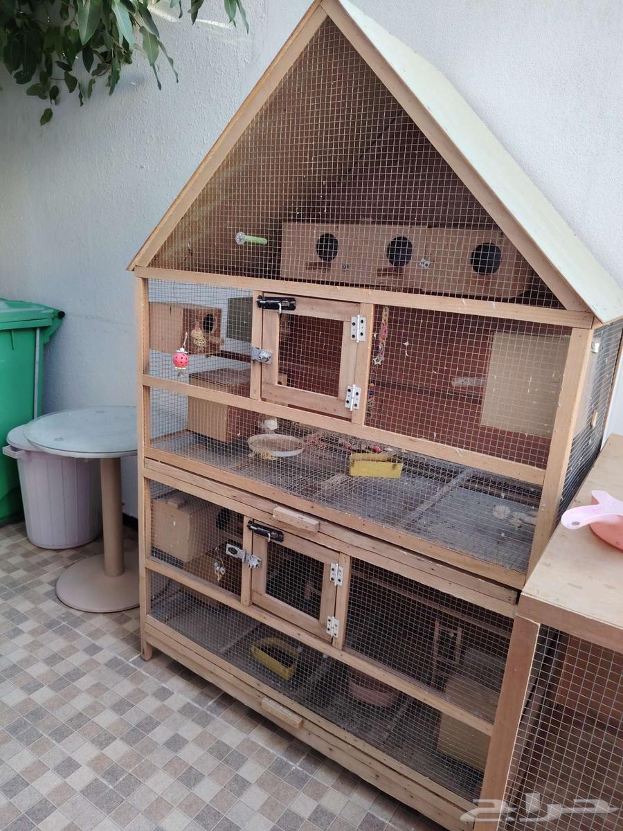 شبوك64211393394049112