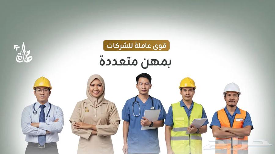 Restaurant workers, cleaners, and company staff are available64207696263299110