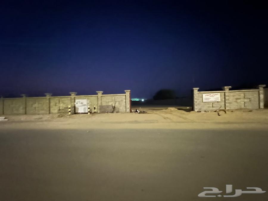 حوش للايجار بيش64182521300098112