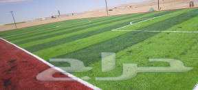 تركيب ملاعب كرة قدم وانجيله صناعيه للحدائق64437530559491113