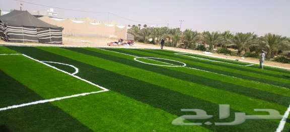 تركيب ملاعب كرة قدم وانجيله صناعيه للحدائق64437530559491110