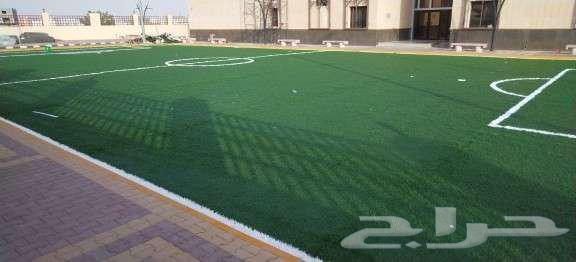 تركيب ملاعب كرة قدم وانجيله صناعيه للحدائق64437530559491111