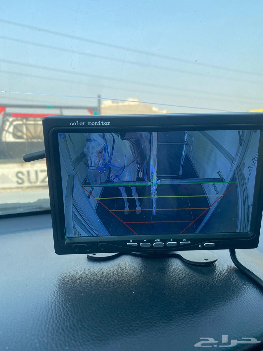 نقل خيل داخل وخارج جدة64211394039937113