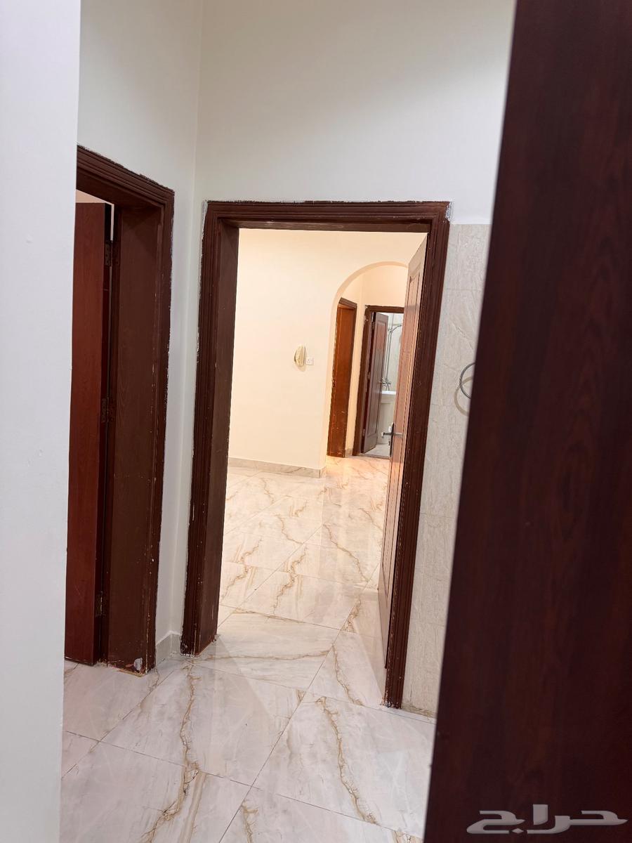 شقة للإيجار