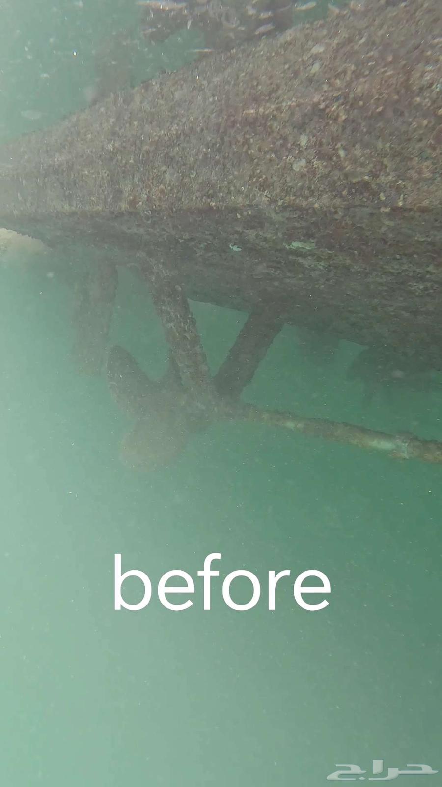 صيانة قوارب و إزالة العوالق   صدف و طحالب64210332385153110