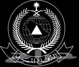 Safety Certificate, Technical Report, Safety Permit in Riyadh64213060025219111