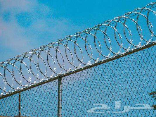 شبك شبوك اراضي64217649304707112