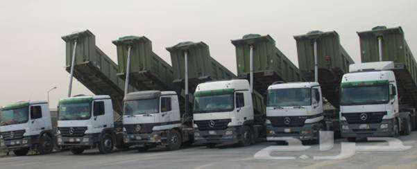 10 dump trucks (20 to 24 meter box) required in Jazan64213916884481110