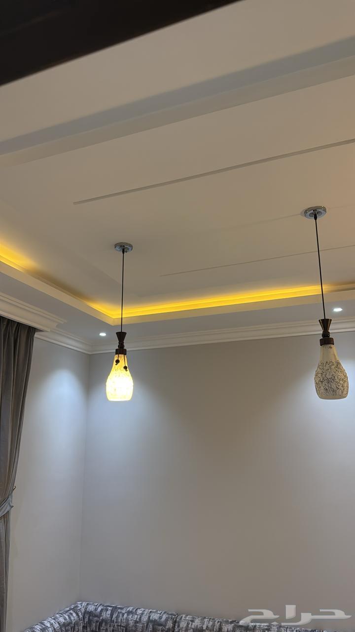 فله شرق المهدية64216455093506113