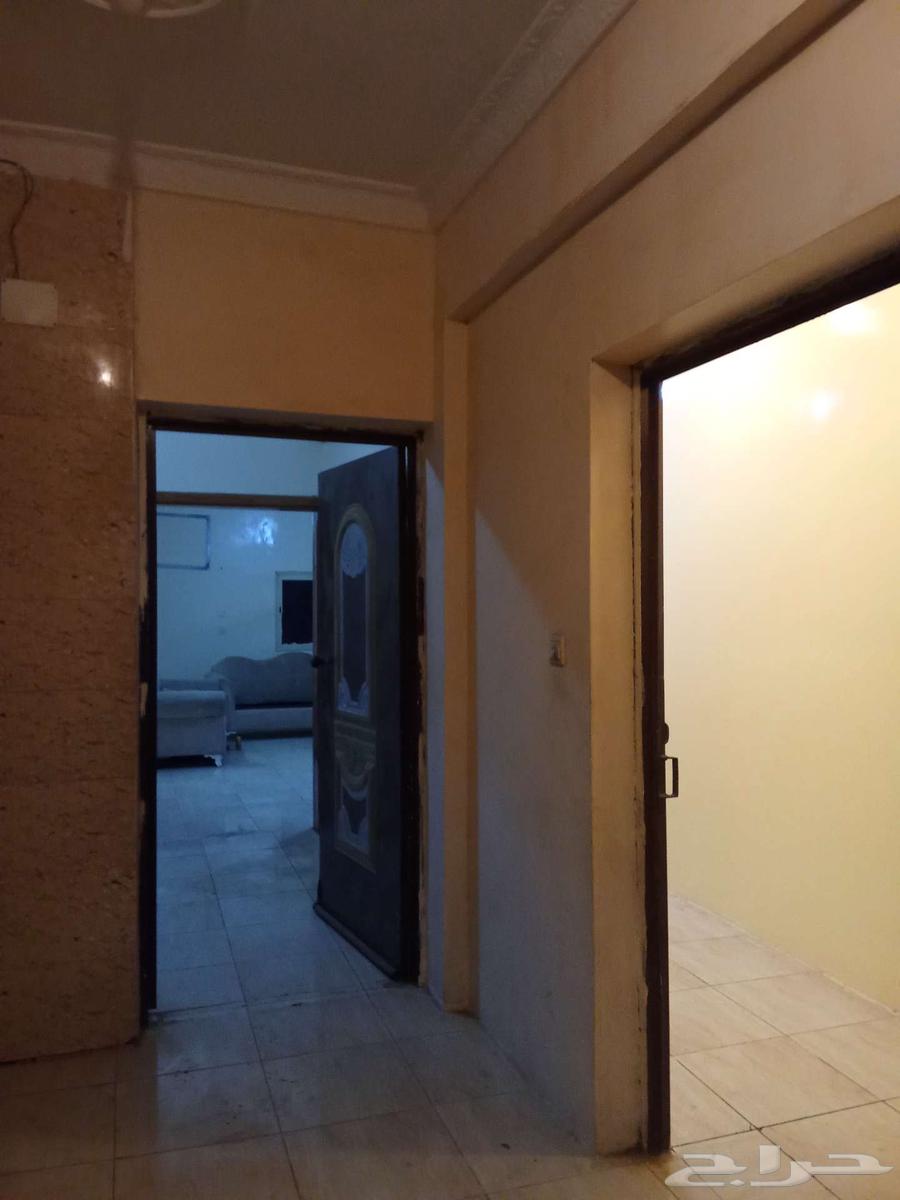 شقه للايجار 1200 مدينه سلطان64204823709698111