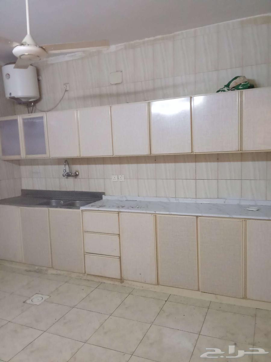 شقه للايجار 1200 مدينه سلطان64204823709698113