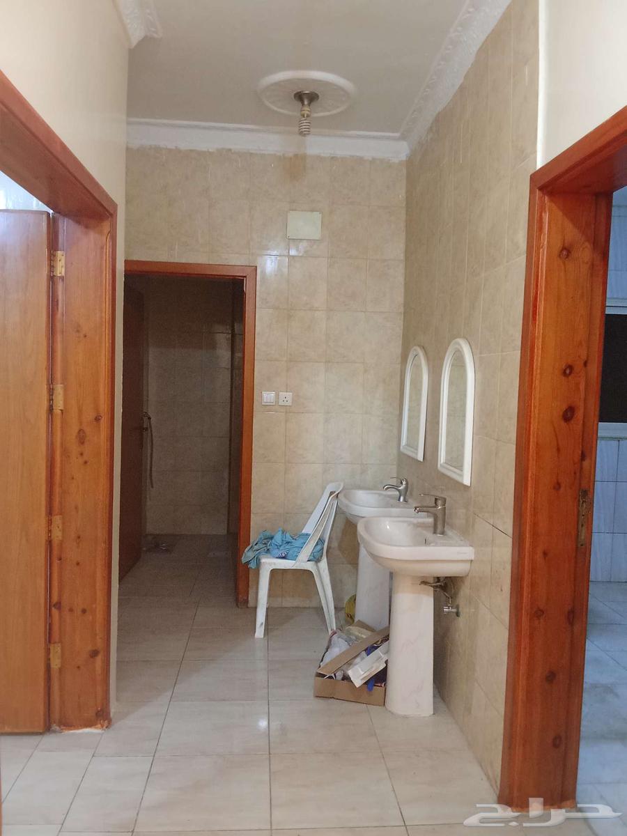 شقه للايجار 1200 مدينه سلطان64204823709698112