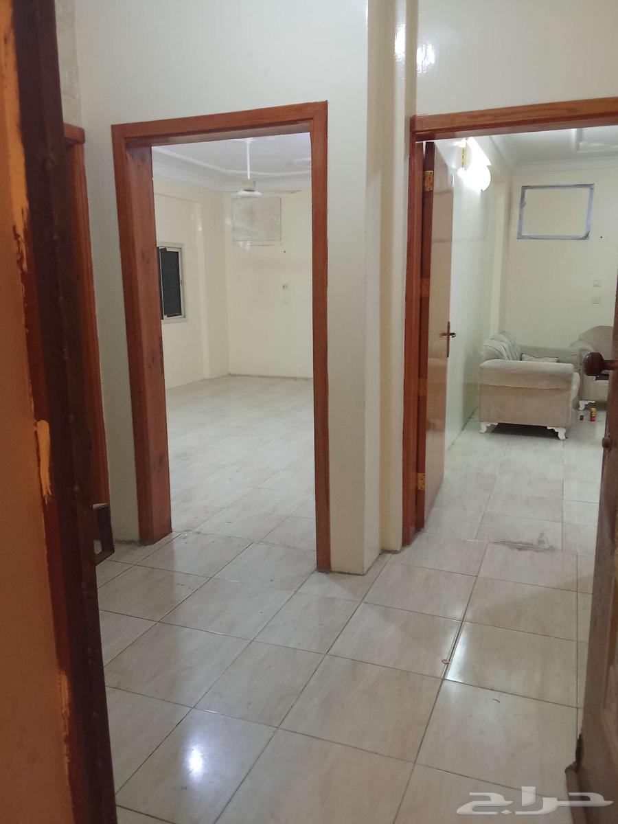 شقه للايجار 1200 مدينه سلطان64204823709698114