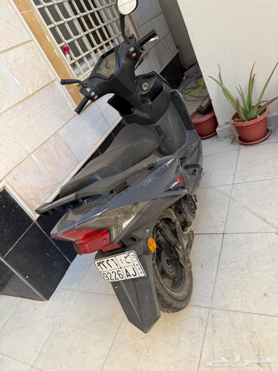 دباب للبيع64216704353026112