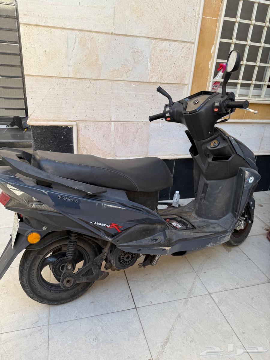 دباب للبيع64216704353026113