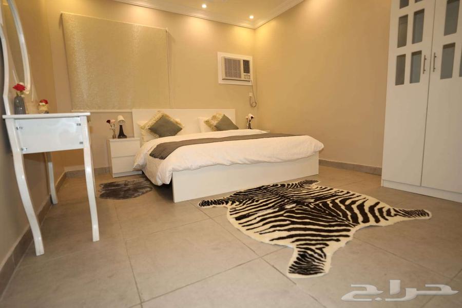 شقق مفروشة فاخرة للايجار في احياء مميزة64207688423938112