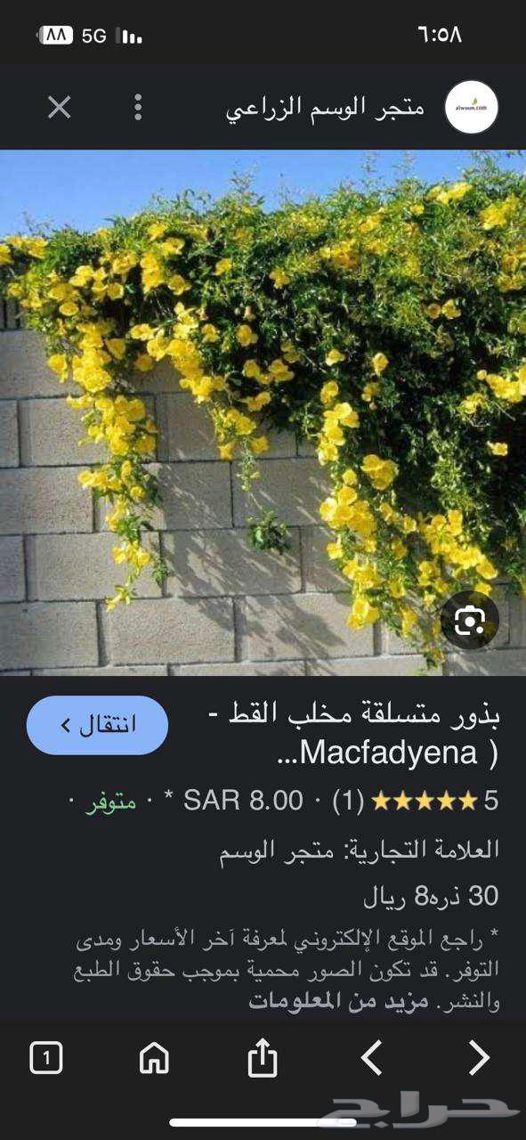 قرطبه64217411448066113