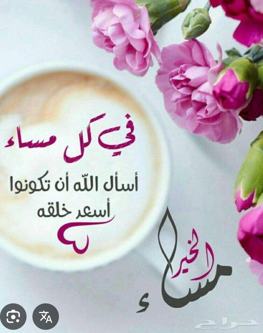 ابحث عن شريكة الحياة64239759558402110