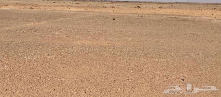 ارض زراعية في منطقة الرياض مدينة الجلة وتبراك64216937315713112