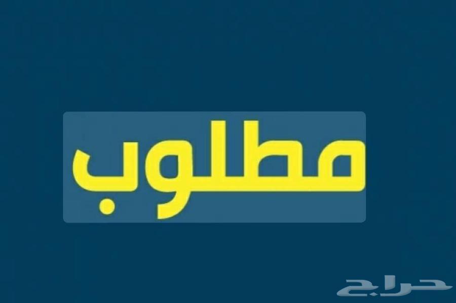 مطلوب غرفه عزاب بالخبر64217160868355110