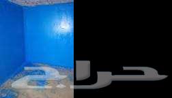 Leak detection team here to serve you. Accurate detection, flexible repair.64224904953217114