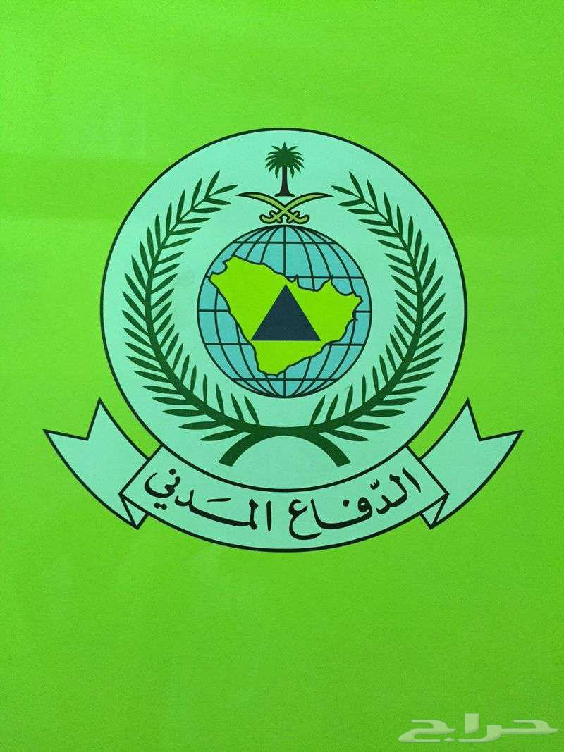 عقد مكافحة حشرات معتمد ادى موفع بلدى64240147634433111